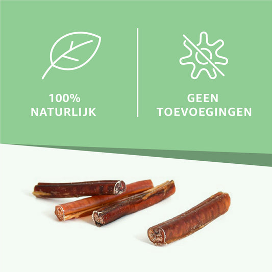 Bullepezen-1