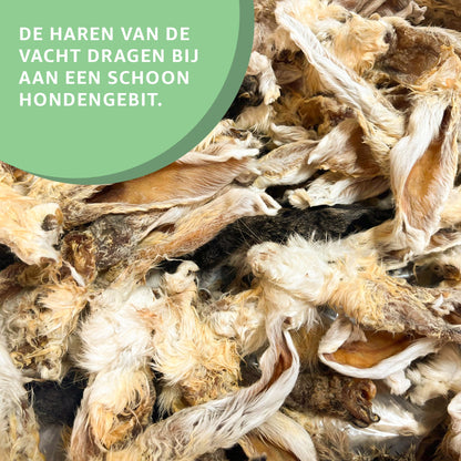 Konijnenoren met vacht-3
